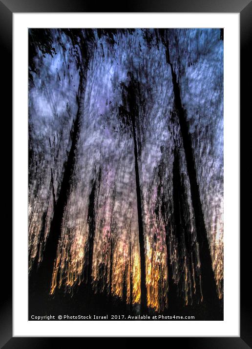 Motion blurred trees in a forest Framed Mounted Print by PhotoStock Israel