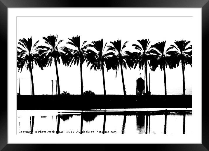 silhouette of palm trees Israel Framed Mounted Print by PhotoStock Israel