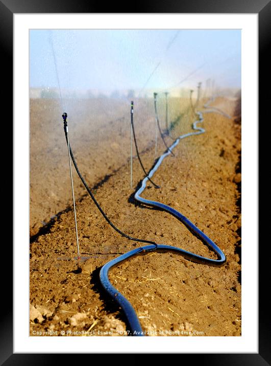 Israel, Negev, watering fields with sprinklers Framed Mounted Print by PhotoStock Israel