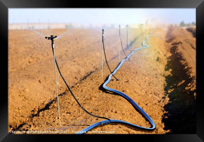 Israel, Negev, watering fields with sprinklers Framed Print by PhotoStock Israel