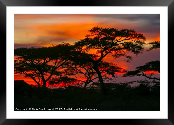 Red African Sunset Framed Mounted Print by PhotoStock Israel