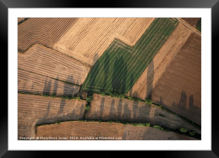 Spain, Catalonia, agriculture Framed Mounted Print by PhotoStock Israel