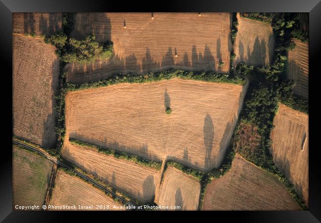 Spain, Catalonia, agriculture Framed Print by PhotoStock Israel