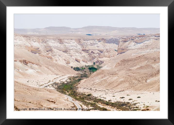 Israel, Negev, Kibbutz Sde Boker Ein Ovdat  Framed Mounted Print by PhotoStock Israel