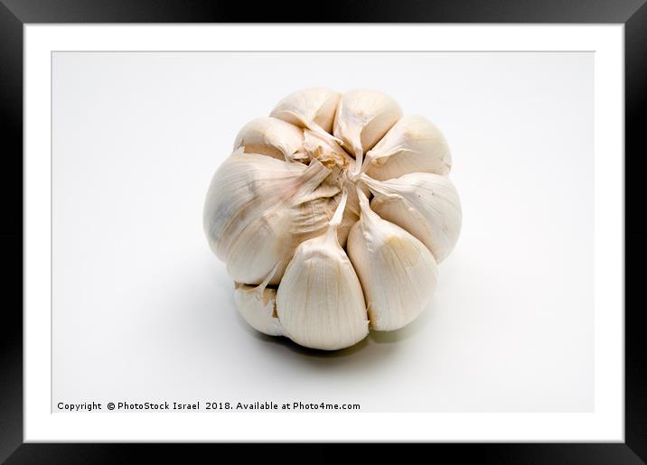 Garlic bulb and cloves Framed Mounted Print by PhotoStock Israel