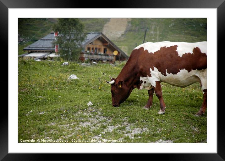 Gosau in the Dachstein Mountains Framed Mounted Print by PhotoStock Israel