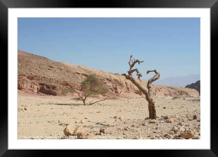 Israel, Eilat Mountains, Wadi Amram  Framed Mounted Print by PhotoStock Israel
