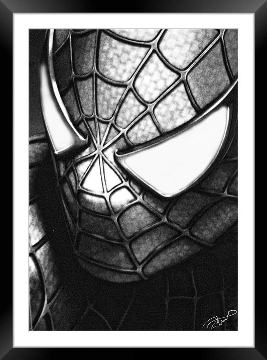 My friendly neighbourhood spiderman Framed Mounted Print by Rob Toombs