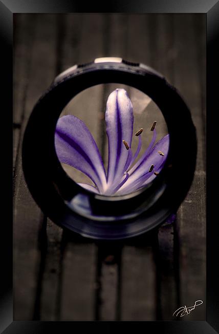 As seen through a lens Framed Print by Rob Toombs