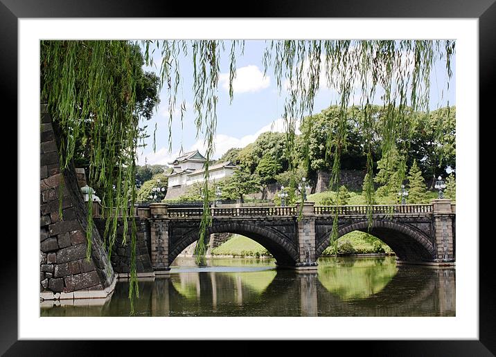 Imperial Palace Framed Mounted Print by Adam Levy