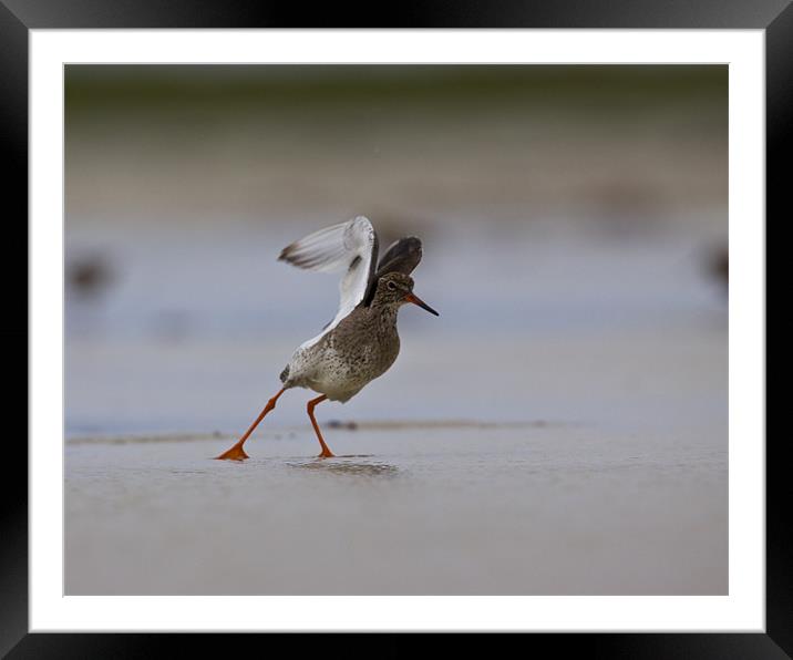 Take-off Framed Mounted Print by Gabor Pozsgai