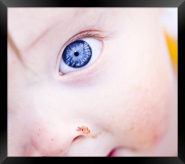 Cheeky blue eye Framed Print by Gabor Pozsgai