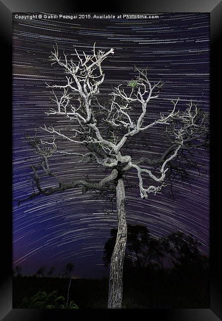 Star trails in the cerrado Framed Print by Gabor Pozsgai