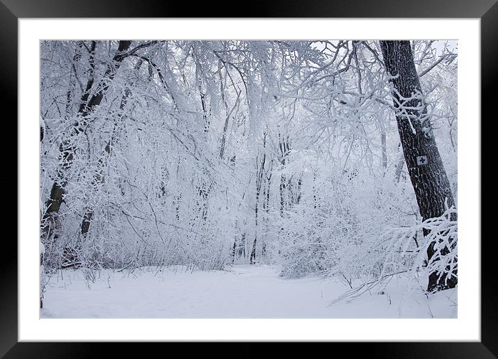Snowy winter forest and tourist sign Framed Mounted Print by Gabor Pozsgai