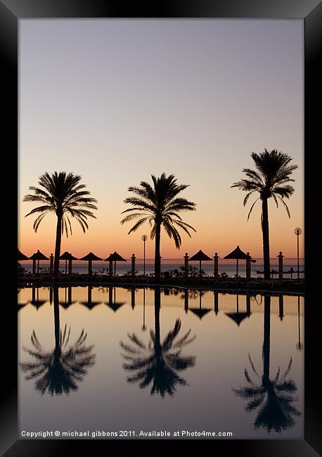 palm tree paradise Framed Print by mick gibbons