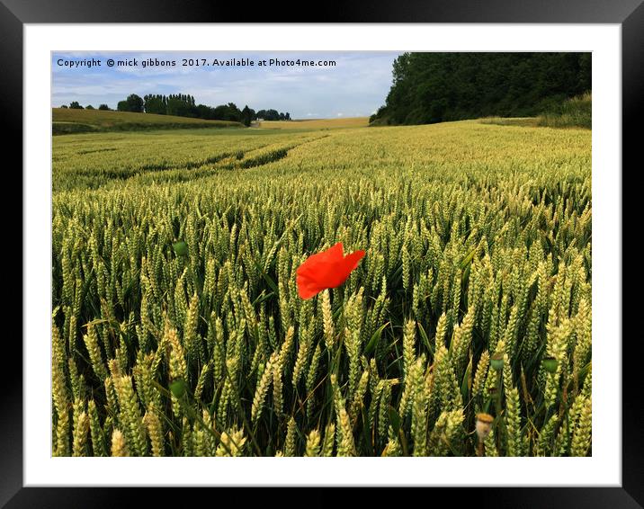 lone Poppy watches over field of hope and glory  Framed Mounted Print by mick gibbons