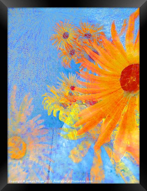 abstract floral Framed Print by joseph finlow canvas and prints