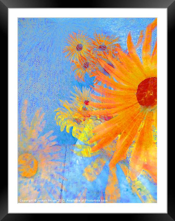 abstract floral Framed Mounted Print by joseph finlow canvas and prints
