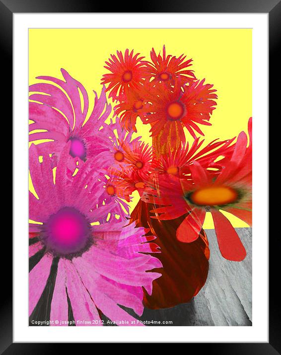 floral abstract Framed Mounted Print by joseph finlow canvas and prints