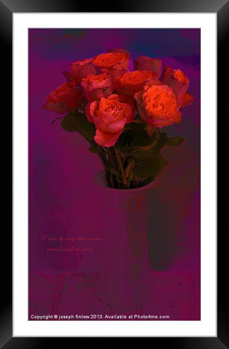 A rose by any other name Framed Mounted Print by joseph finlow canvas and prints
