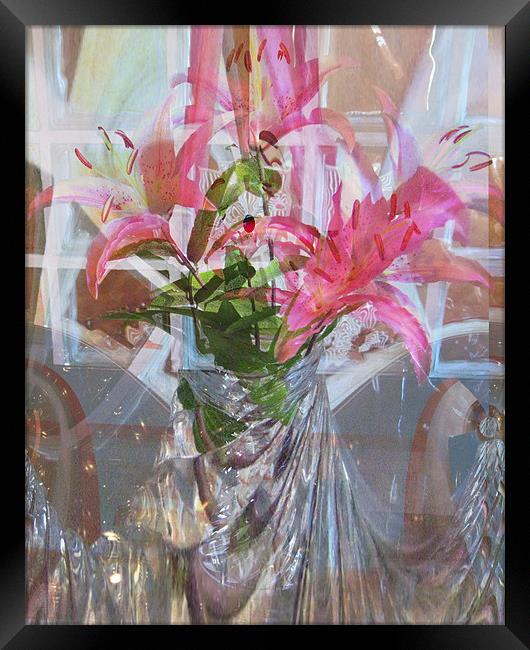 star lillies refraction Framed Print by joseph finlow canvas and prints