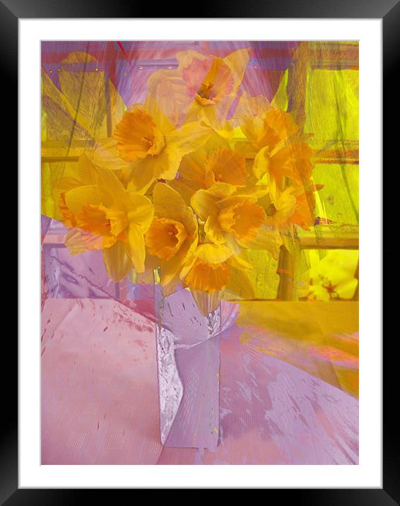 daffodils Framed Mounted Print by joseph finlow canvas and prints