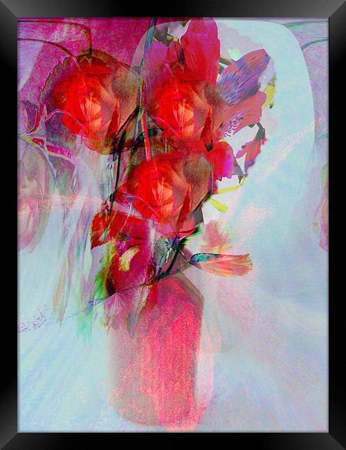 roses are red Framed Print by joseph finlow canvas and prints
