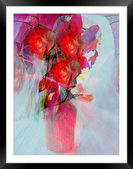 roses are red Framed Mounted Print by joseph finlow canvas and prints