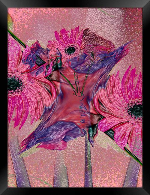 floral abstract Framed Print by joseph finlow canvas and prints