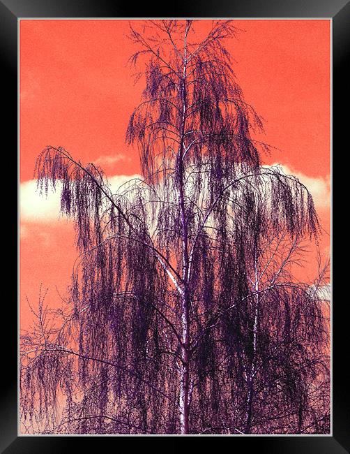 Beautiful The Life Framed Print by Erzsebet Bak