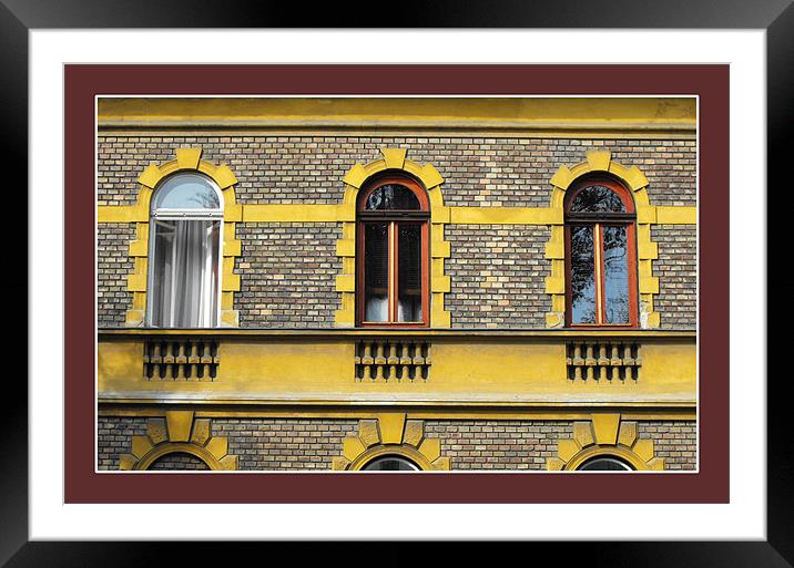 Windows in a May Framed Mounted Print by Erzsebet Bak