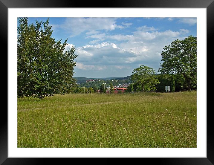 From grass outgrown Framed Mounted Print by Erzsebet Bak