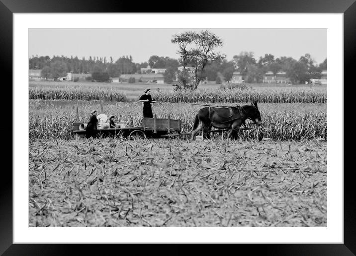 A ride in the country.  Framed Mounted Print by Michael Snead