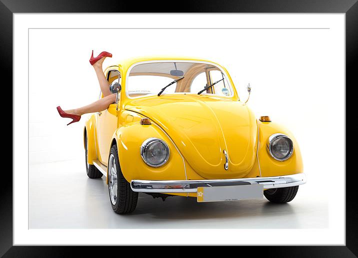 Its a Bug's Life! Framed Mounted Print by Stephen Hayes