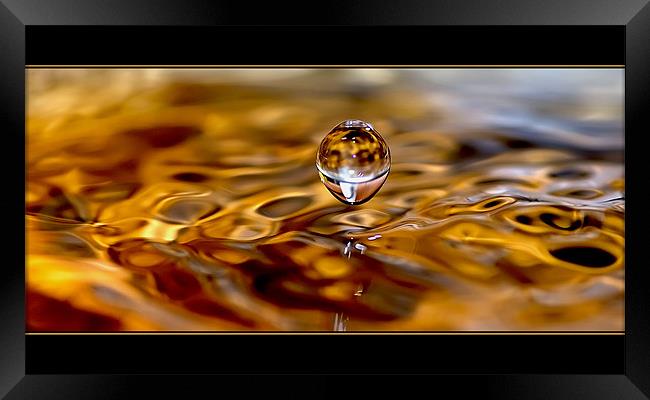 water drop Framed Print by Jovan Miric