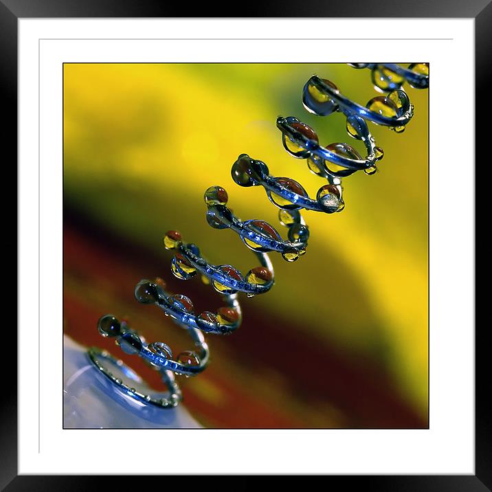 Spiral Framed Mounted Print by Jovan Miric