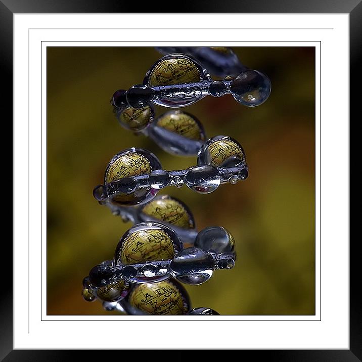 EARTH IN THE DROPS  Framed Mounted Print by Jovan Miric