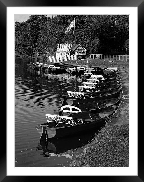 Ruswarp Pleasure Boats Framed Mounted Print by Terry Sandoe