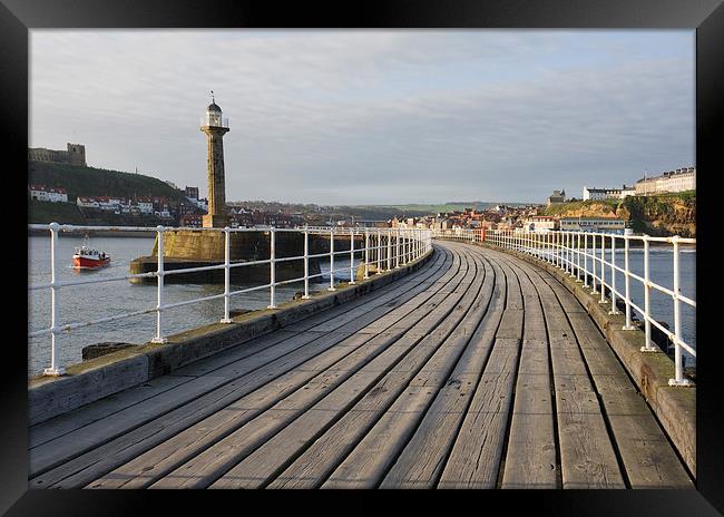  Whitby Pier and Harbour Framed Print by Terry Sandoe