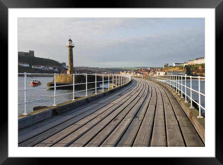  Whitby Pier and Harbour Framed Mounted Print by Terry Sandoe