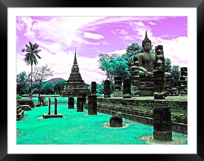 Purple  Buddha Park Framed Mounted Print by joel ormsby