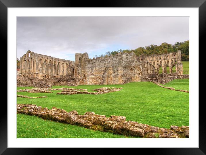 Rievaulx Abbey Framed Mounted Print by Sarah Couzens