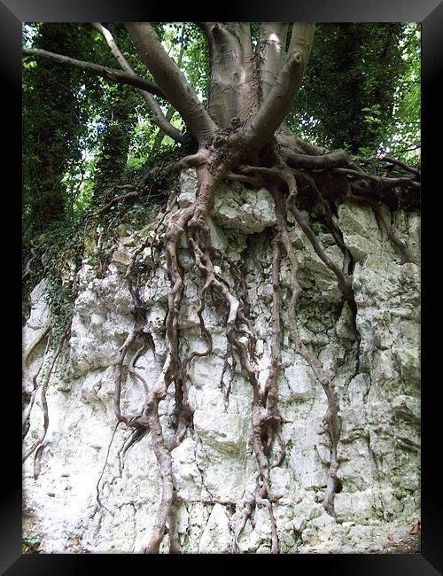 Erosion Framed Print by Sarah Couzens