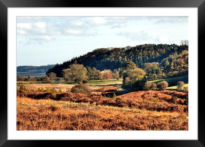  Autumn in Hutton-Le-Hole Framed Mounted Print by Sarah Couzens
