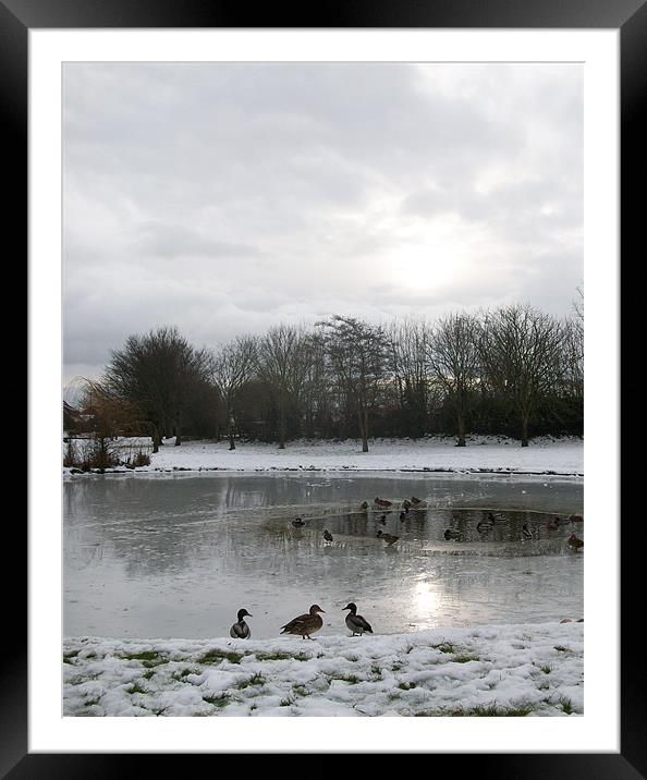 Iced Pond Framed Mounted Print by Sarah Couzens