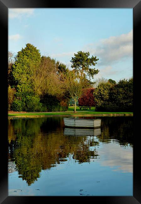 December in Burnby Hall Gardens Framed Print by Sarah Couzens