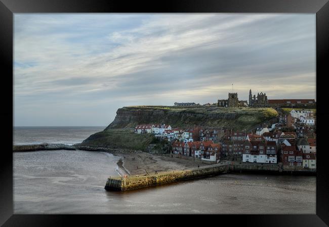 Whitby Harbour Framed Print by Sarah Couzens