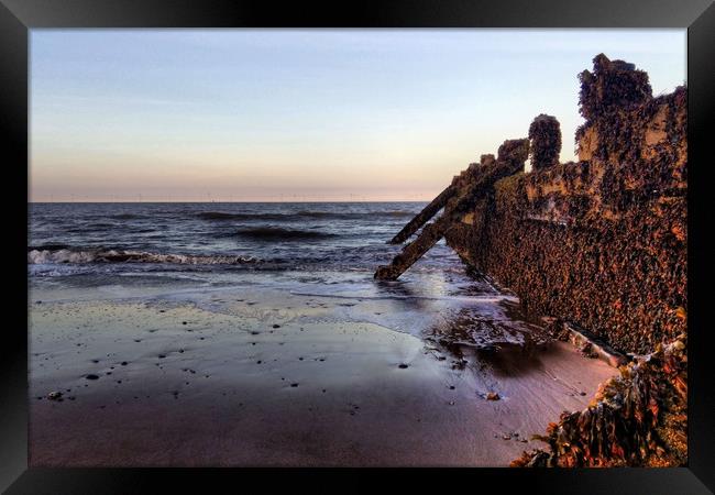Withernsea Groynes at Sunset Framed Print by Sarah Couzens