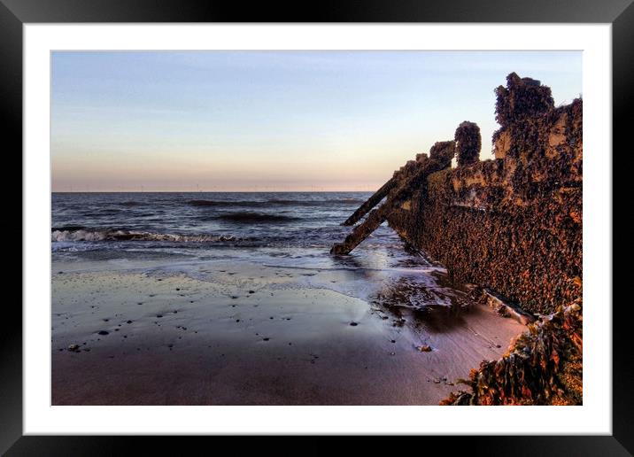 Withernsea Groynes at Sunset Framed Mounted Print by Sarah Couzens