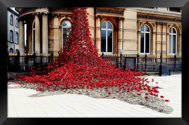 Poppies - City of Culture 2017, Hull Framed Print by Sarah Couzens